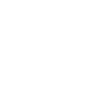 Piacenza Rugby - logo bianco