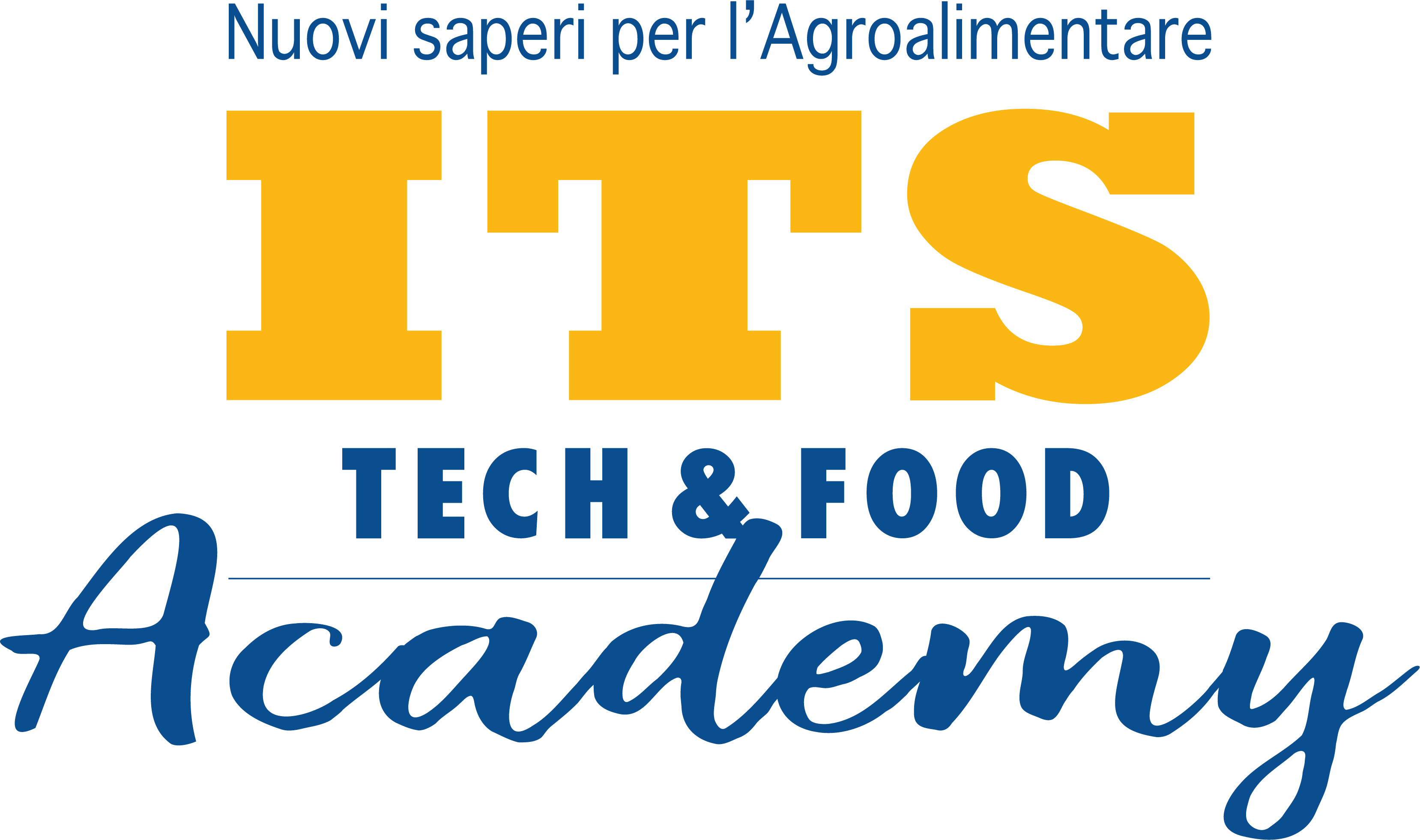 ITS T&F Academy